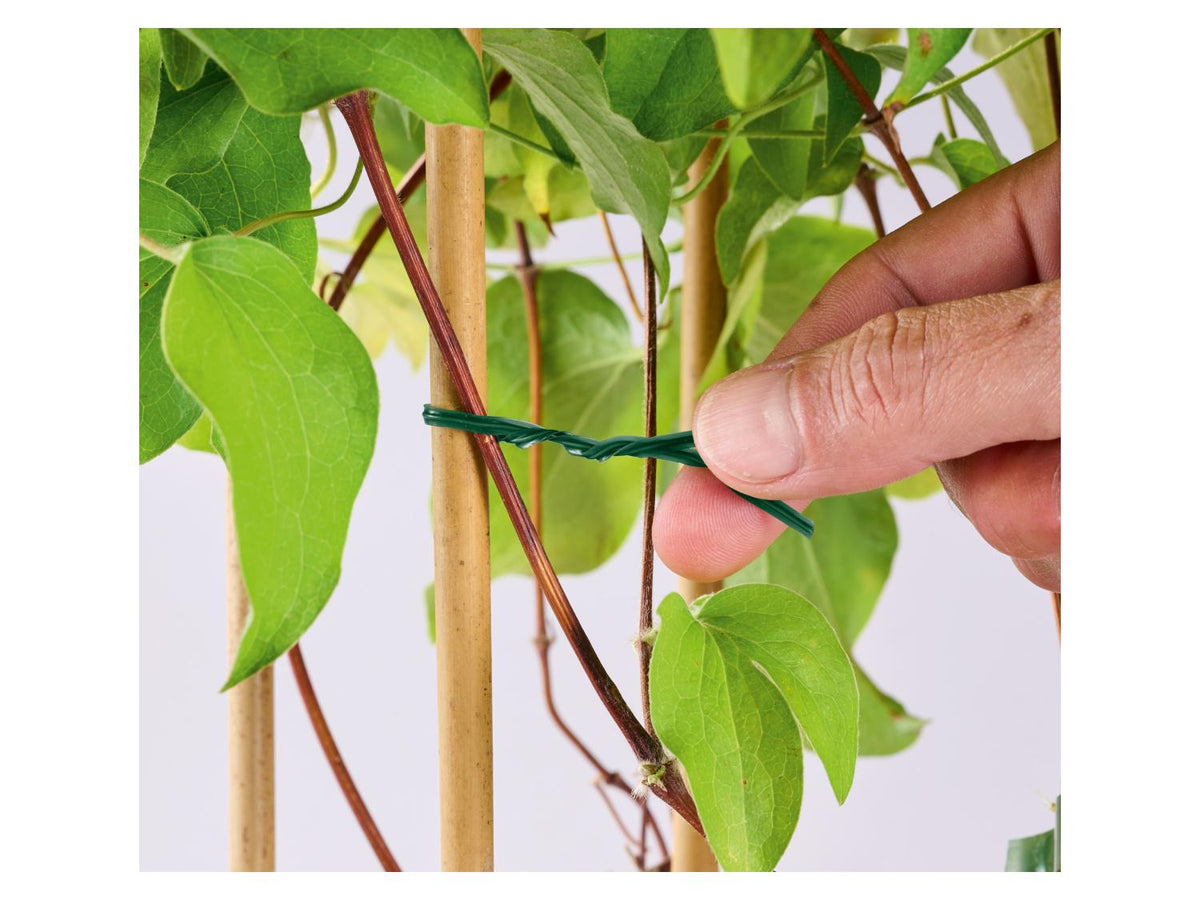 PARKSIDE® Plant binding wire - 40 meters with cutter
