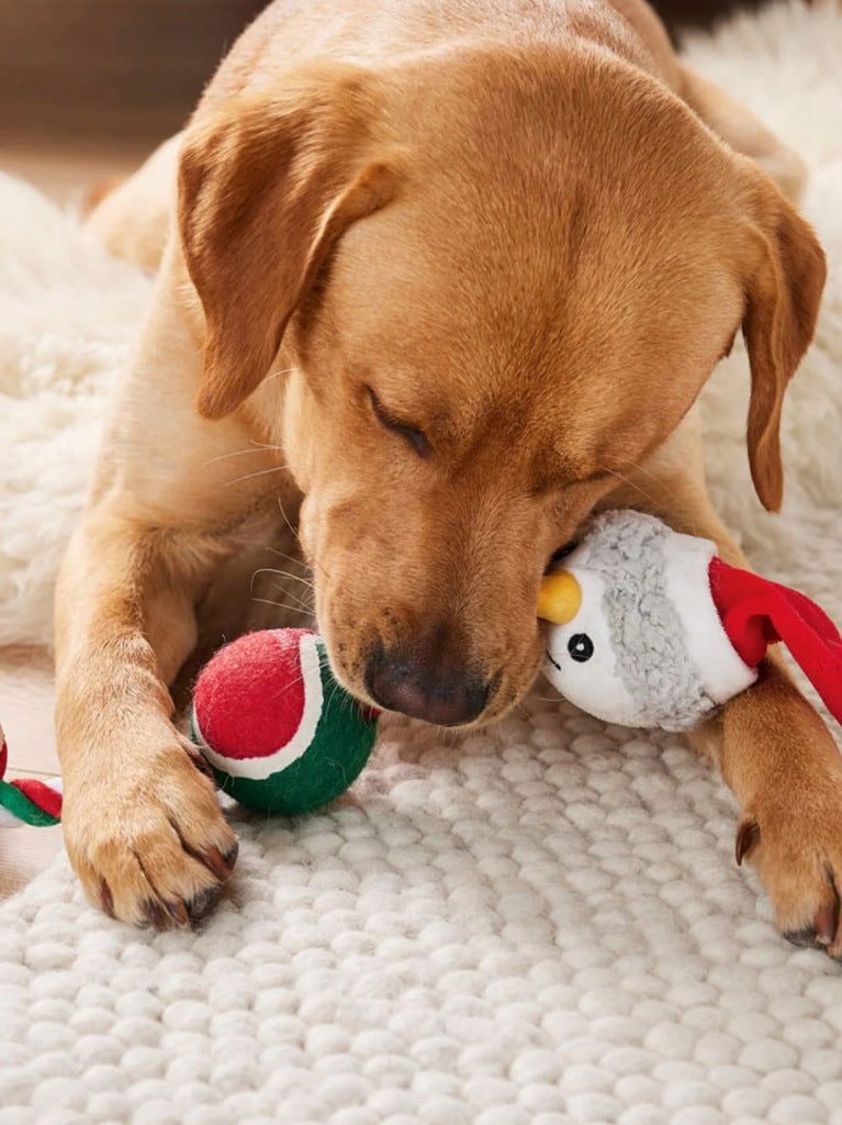 Zoofari SNOWMAN Teether Dog Toy - GIFT FOR YOUR PET
