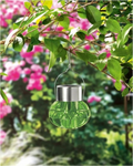LIVARNO home Decorative LED solar lamp - GREEN