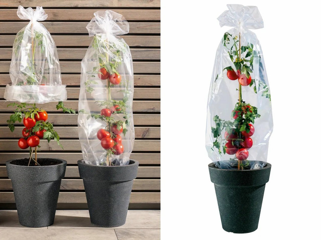 Parkside® Shrub Film Tube 10 x 0.75m