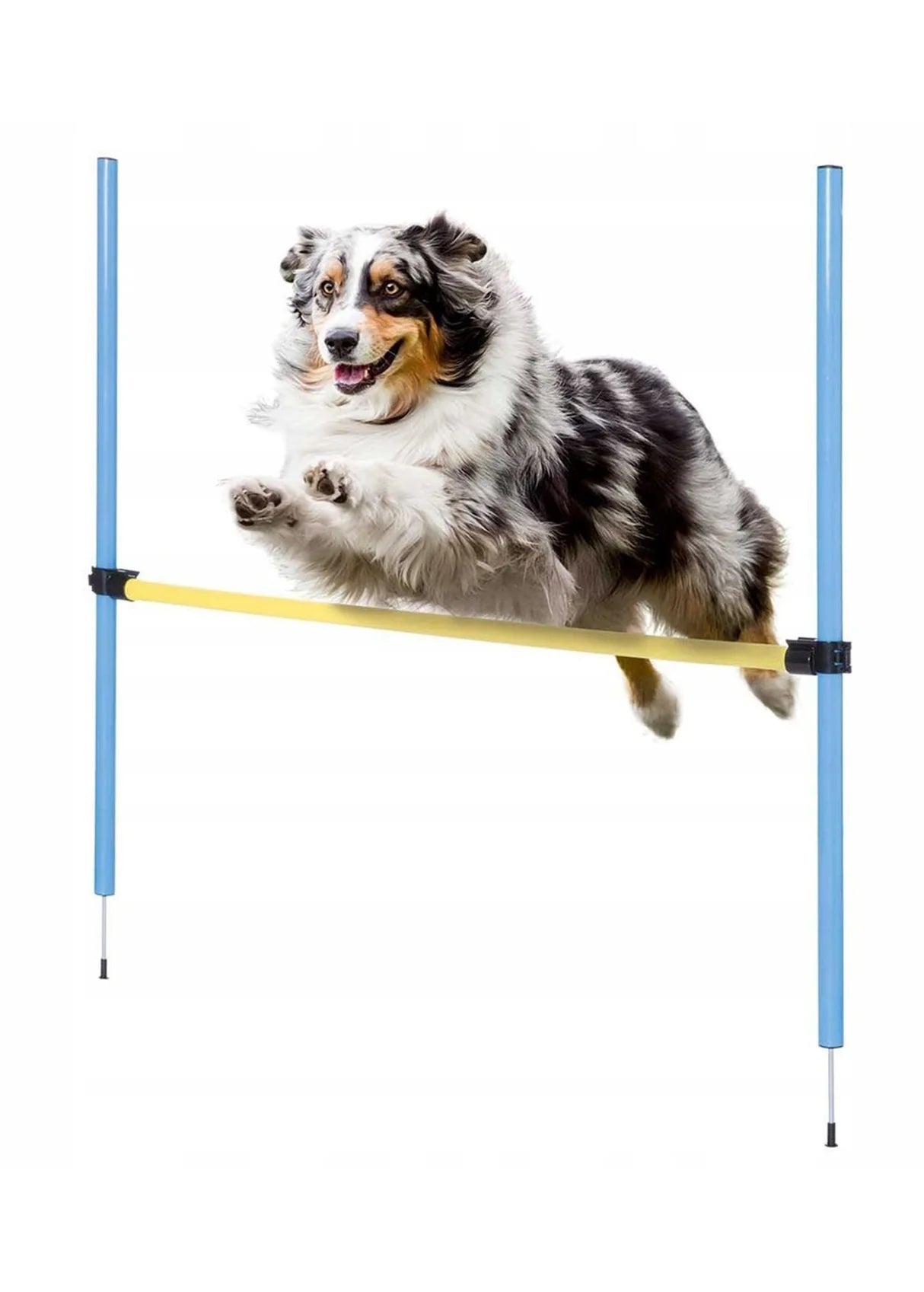 ZOOFARI Agility Hurdle (jump hoop) - 110x116cm