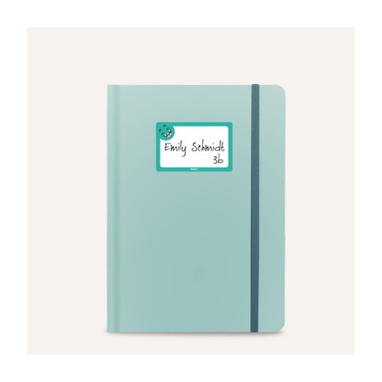 AVERY School stickers, hand-writable - 148mm x 105mm (pack of 8)