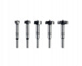 Parkside 5-Piece Wood Router Bit Set, Diameter 15/20/25/30/35