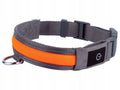ZOOFARI LED Light-Up Dog Collar