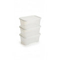 Set of 3 W5 containers with lid, 17x10x8 cm - CHOOSE COLOR