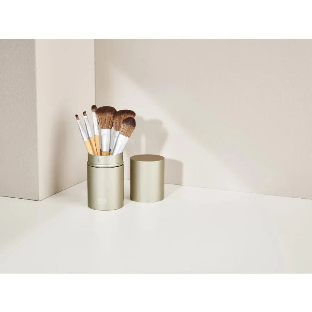 Professional Cien Beauty makeup brushes 6 pcs in a case