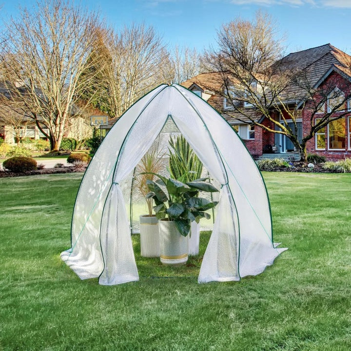 Parkside Greenhouse 160 x 160 height 180 cm