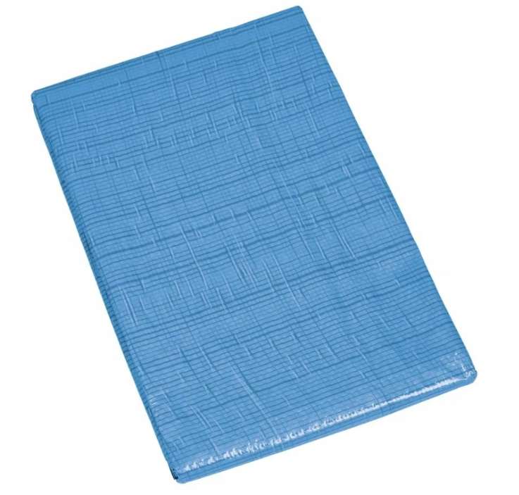 Parkside Tarpaulin Safety Mat 70 g/m2, 3 x 2m BLUE