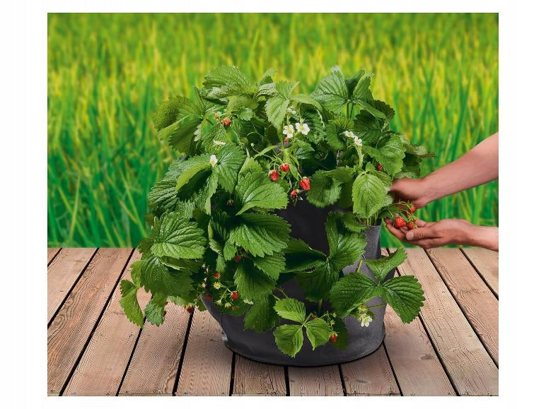 Parkside black felt flowerpot 50 cm x 50 x 30 cm