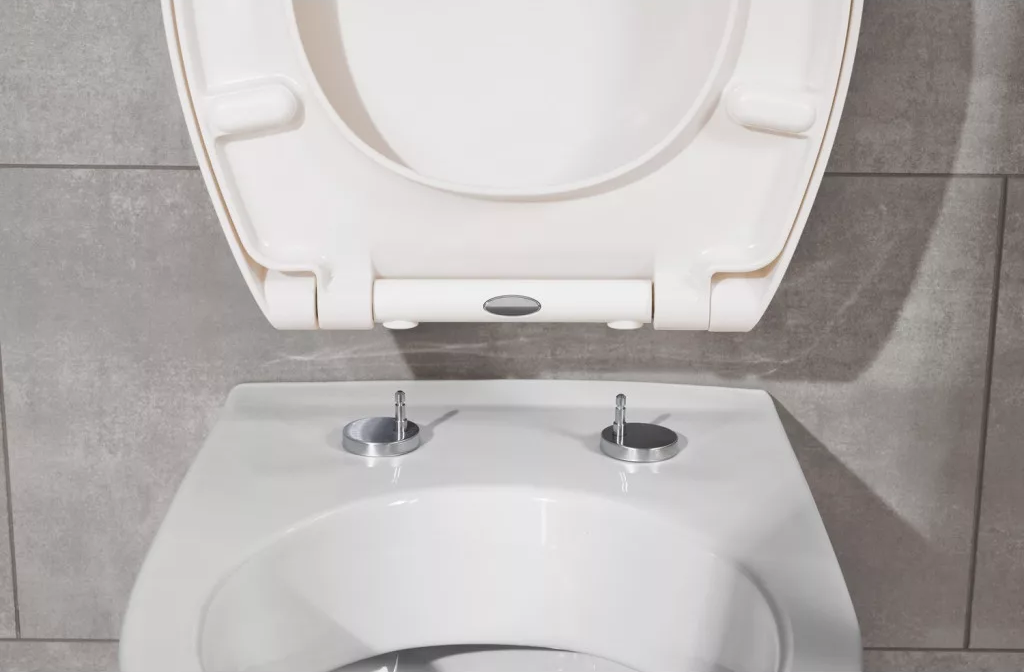 LIVARNO home Universal toilet seat made of thermoplastic plastic - white