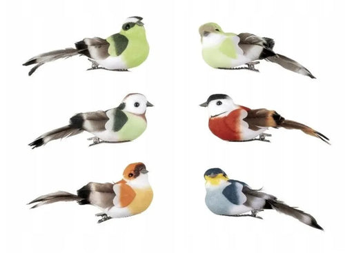 LIVARNO Home – Set of 6 Decorative Clips (COLOURFUL BIRDS)