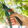PARKSIDE Bypass pruning shears (Sécateur)