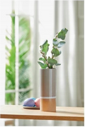 Livarno home – Ceramic Vase / Flowerpot