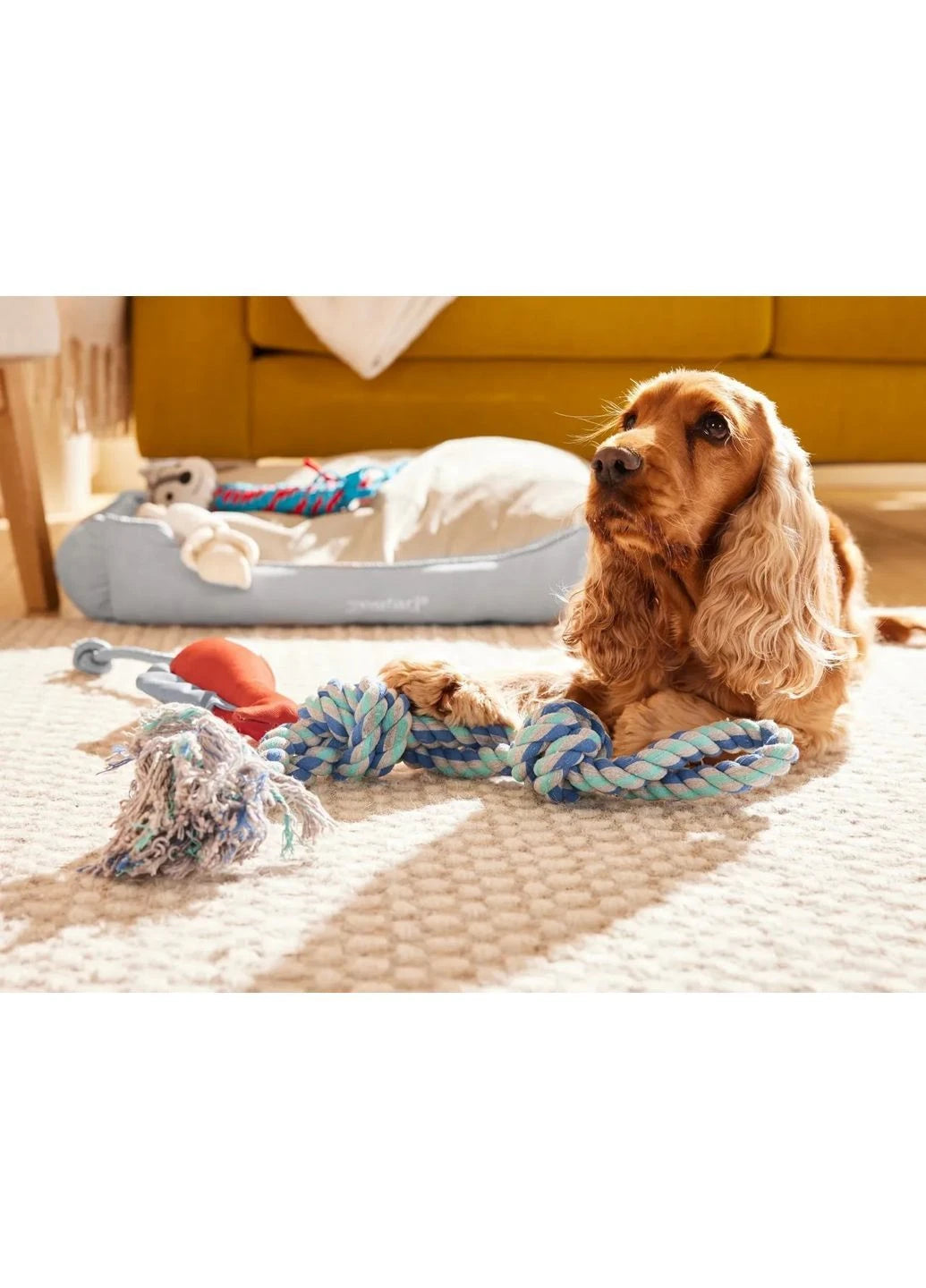 Zoofari rope toy with squeaker for dogs, durable plush, 30x10cm