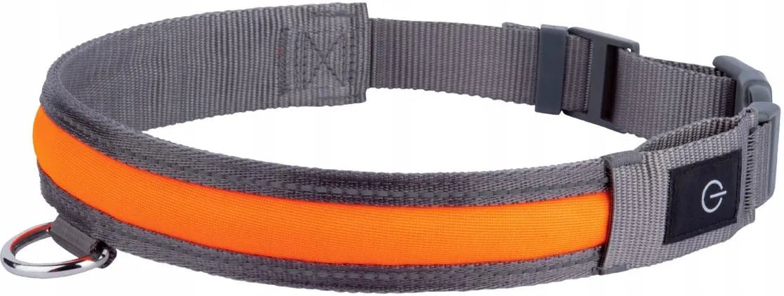 ZOOFARI LED Light-Up Dog Collar