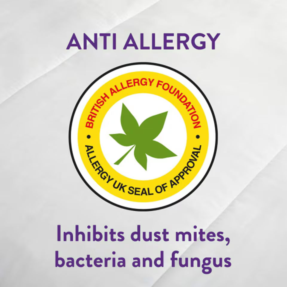 Slumberdown Anti Allergy Mattress Protector - Double