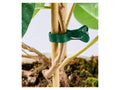 Parkside XL Plant Clips - 16 pack