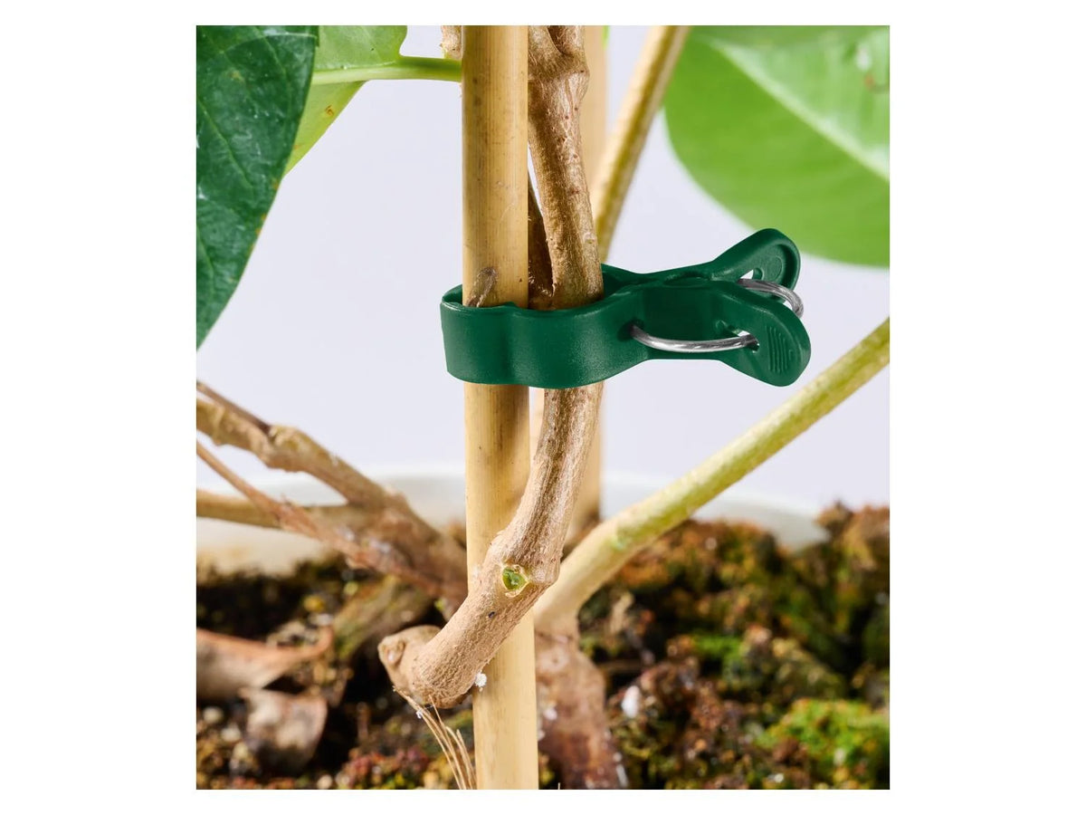 Parkside XL Plant Clips - 16 pack