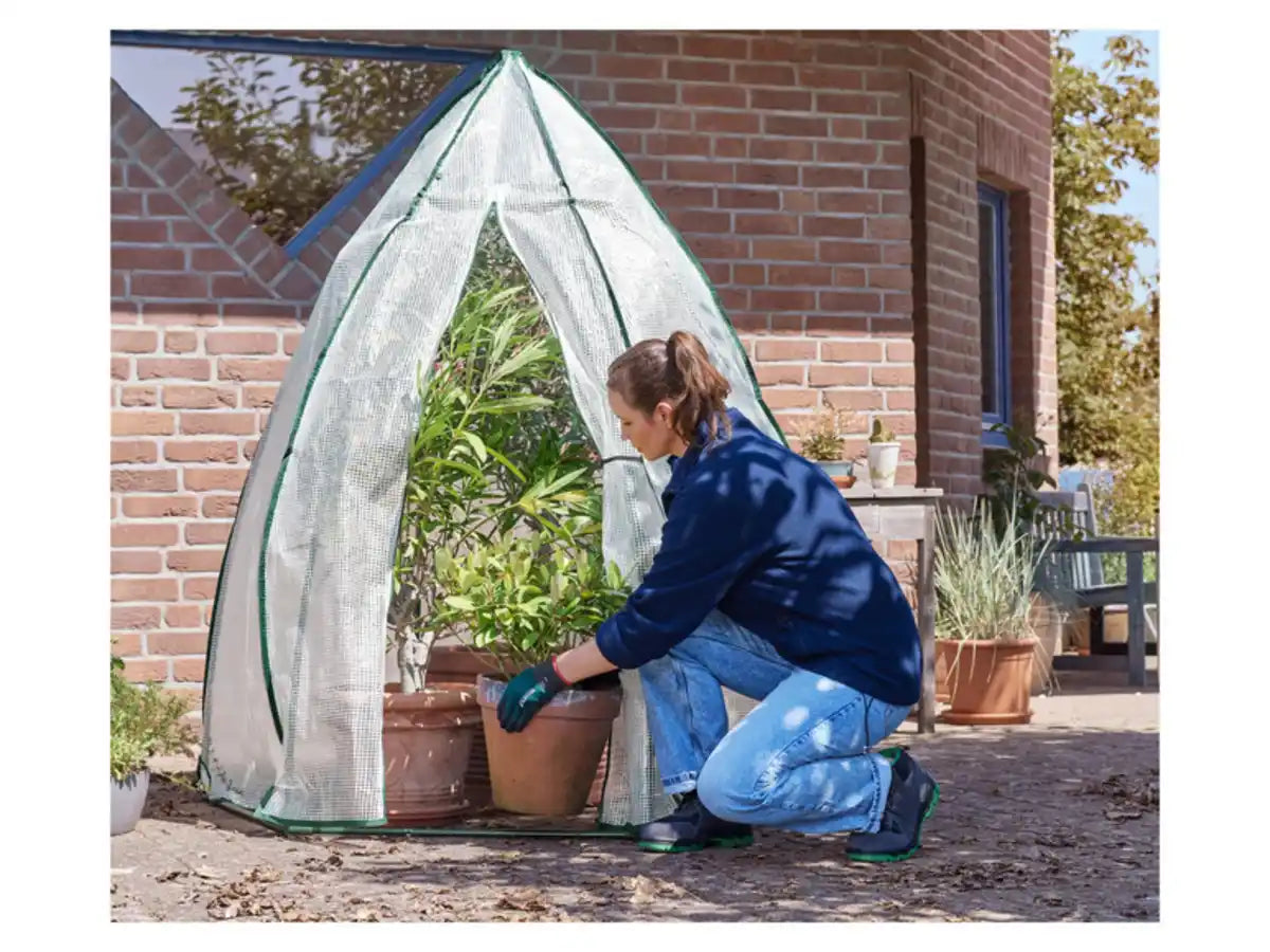 Parkside Greenhouse 160 x 160 height 180 cm
