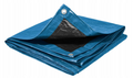 Parkside Tarpaulin Safety Mat 70 g/m2, 3 x 2m BLUE