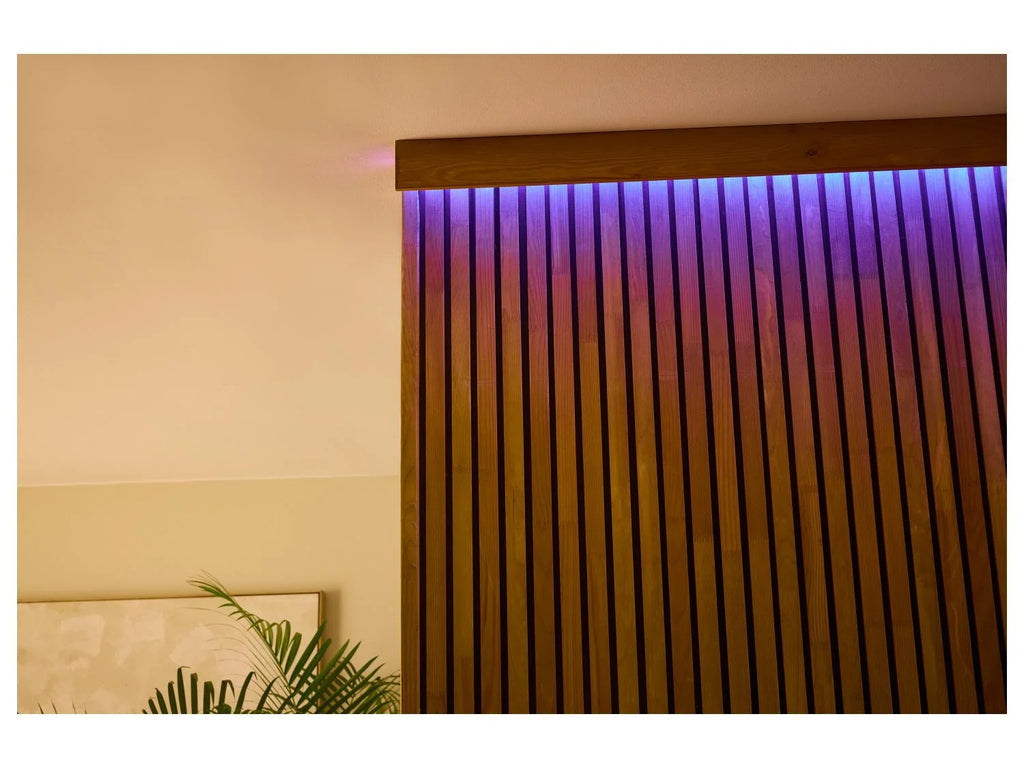 LIVARNO HOME or LIV & BO LED strip, 5 m with big remote