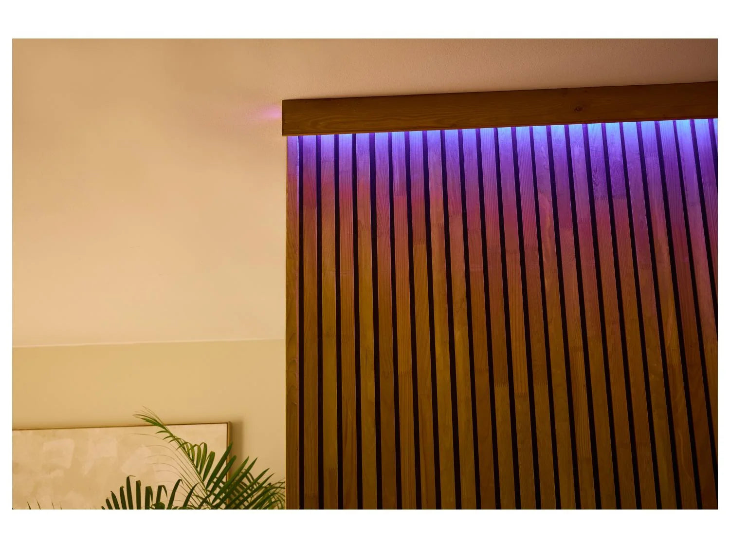LIVARNO HOME or LIV & BO LED strip, 5 m with big remote