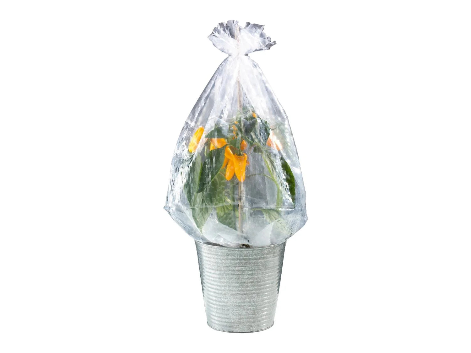 Parkside® Foil Shrub Cover