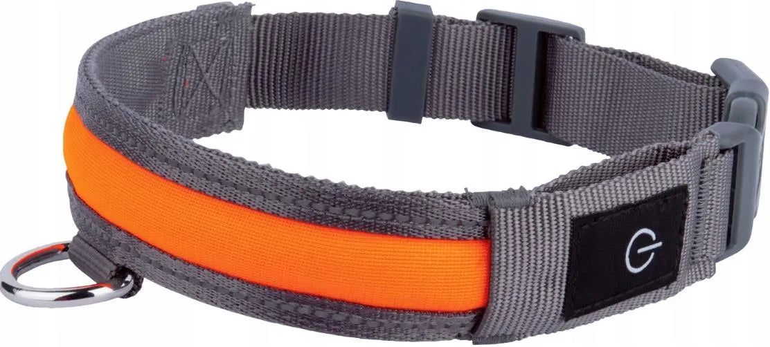 ZOOFARI LED Light-Up Dog Collar