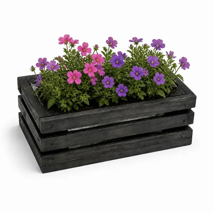 Parkside Wood Planter box - 25.5 x 18.5 x 11 cm
