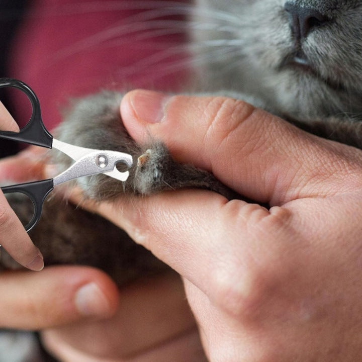 KARLIE Scissors for cutting claws of cats, rabbits, guinea pigs