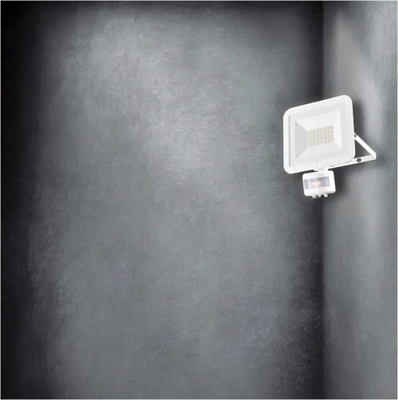 Outdoor LED floodlight with motion and twilight sensor 24W 5000K - Neutral White