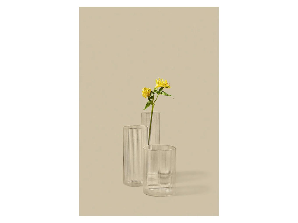 LIVARNO® Vase set (with ribs), 3 pieces