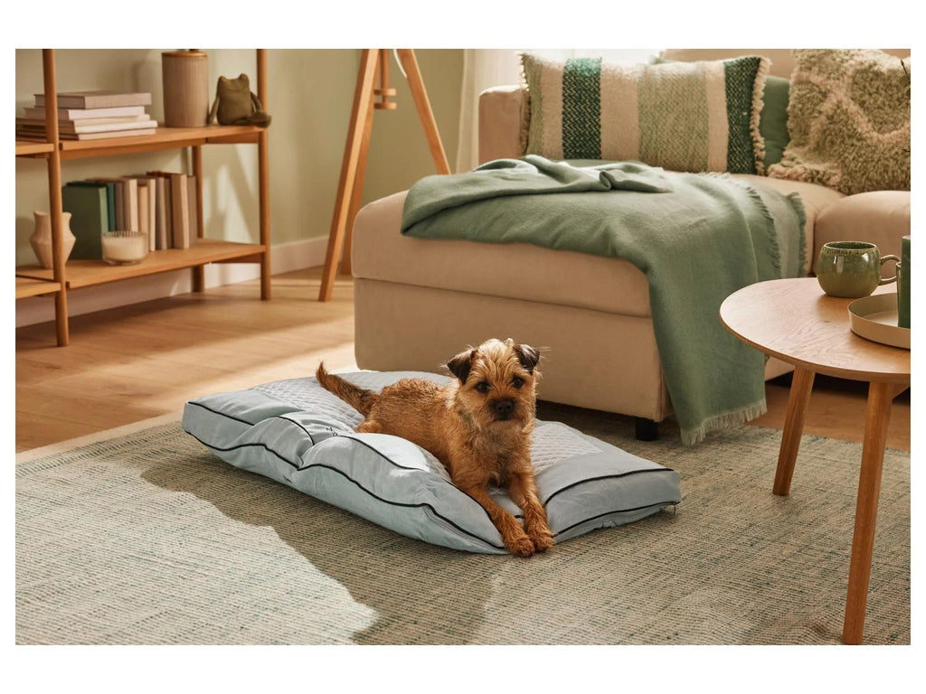 ZOOFARI® Premium Summer/Winter Dog Cushion