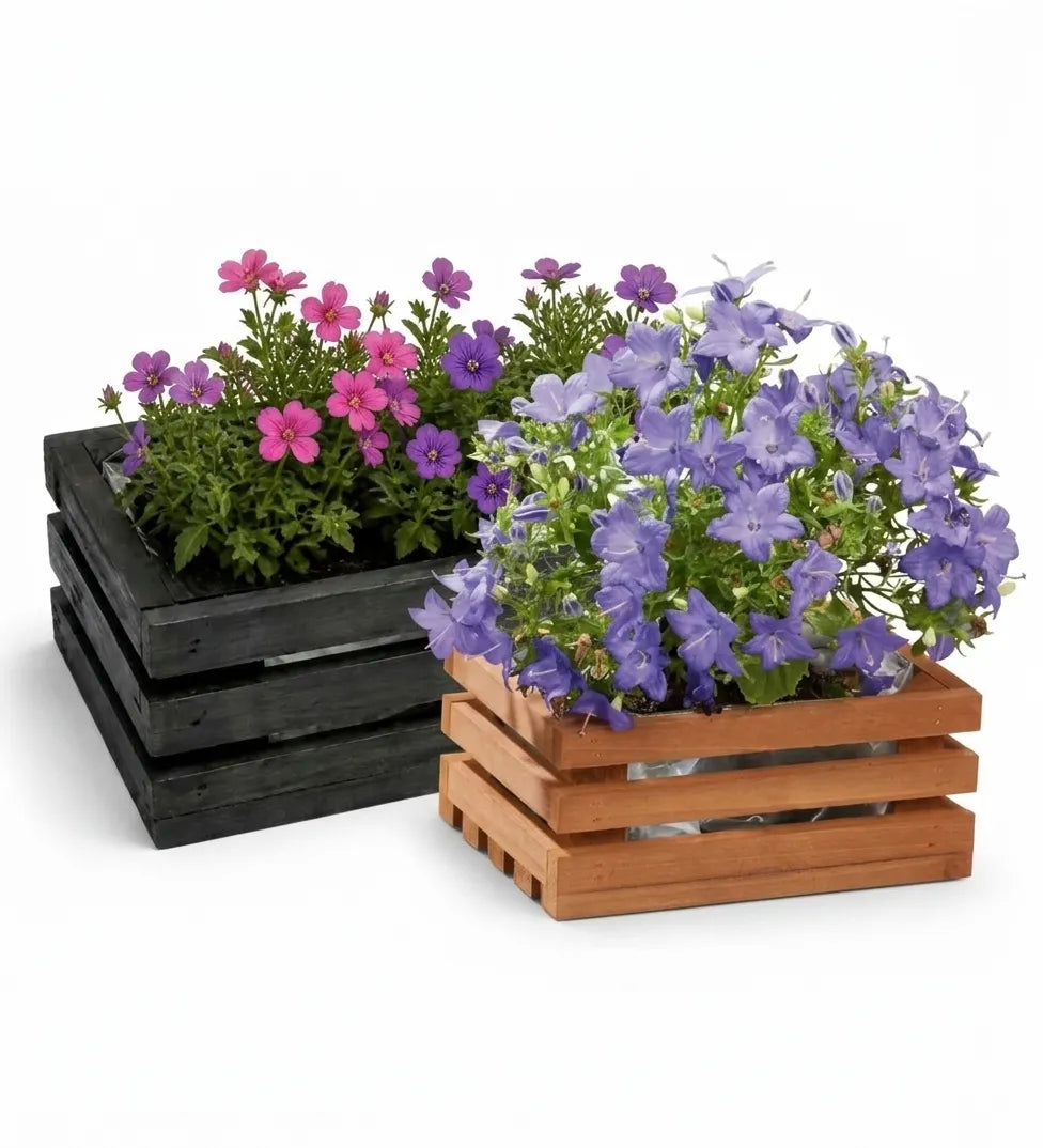 Parkside Wood Planter box - 25.5 x 18.5 x 11 cm