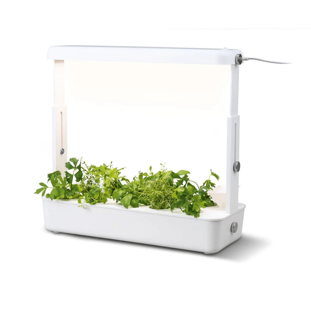 PARKSIDE ILLUMINATED HERB GROWING KIT Herb pot with LED light
