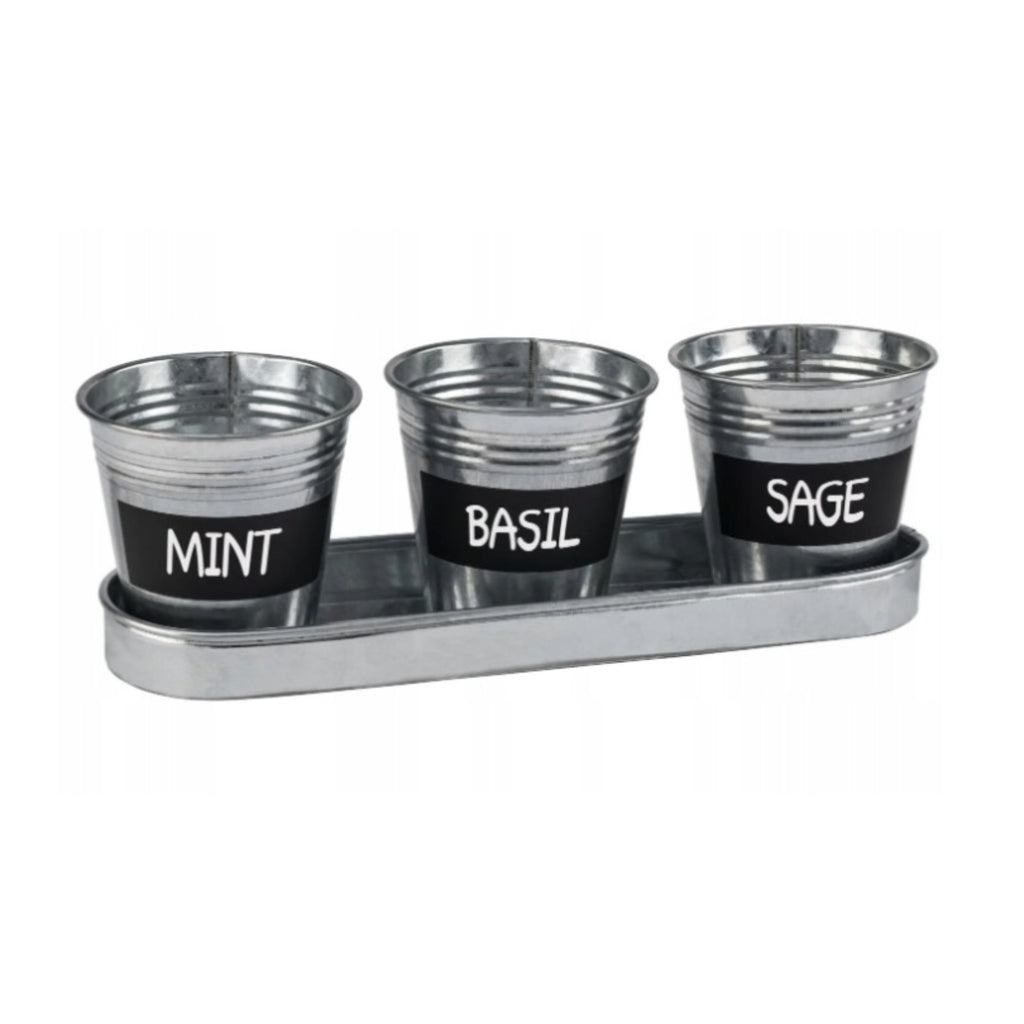 Parkside 3-Piece Zinc Herb Pot Set with Tray - Silver
