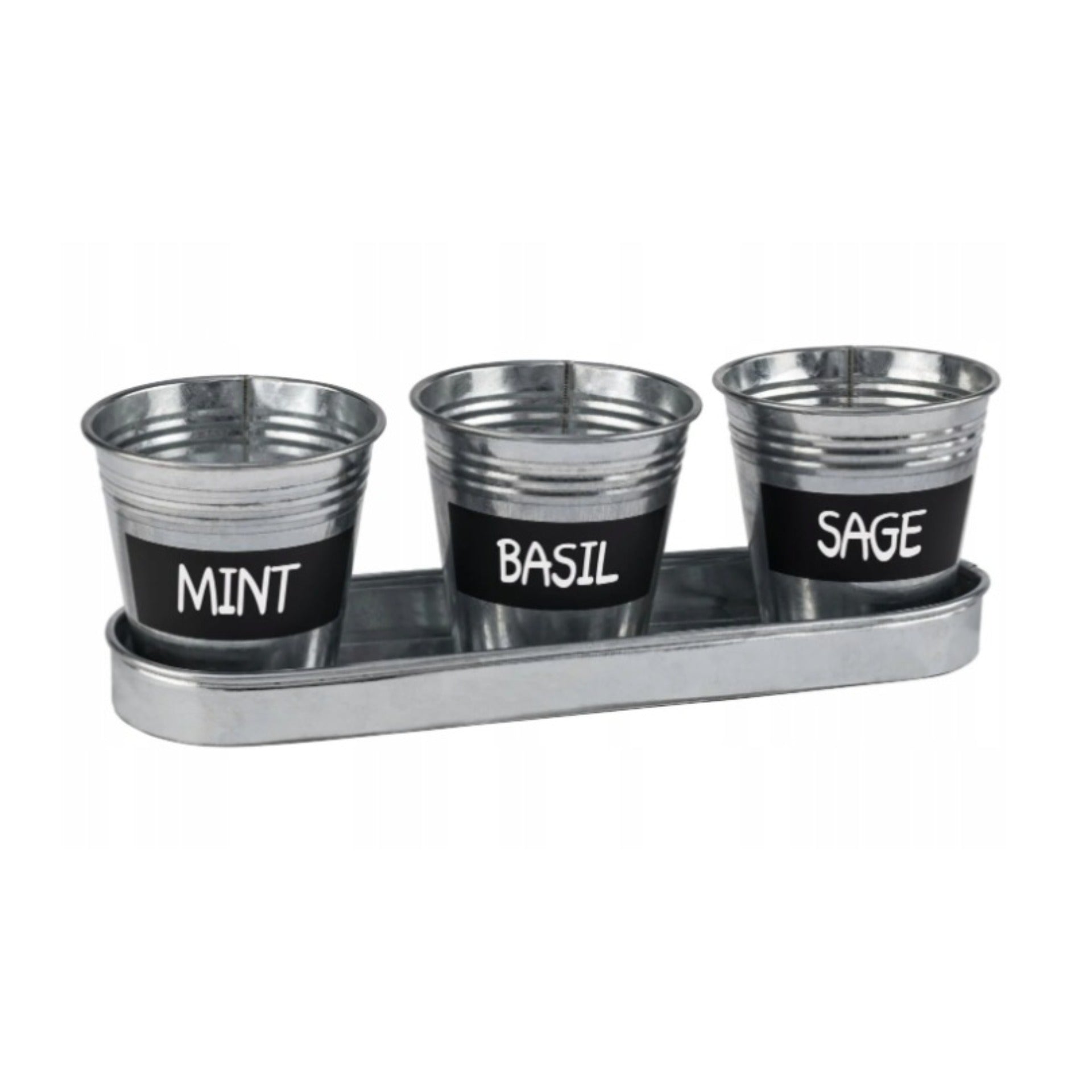 Parkside 3-Piece Zinc Herb Pot Set with Tray - Silver