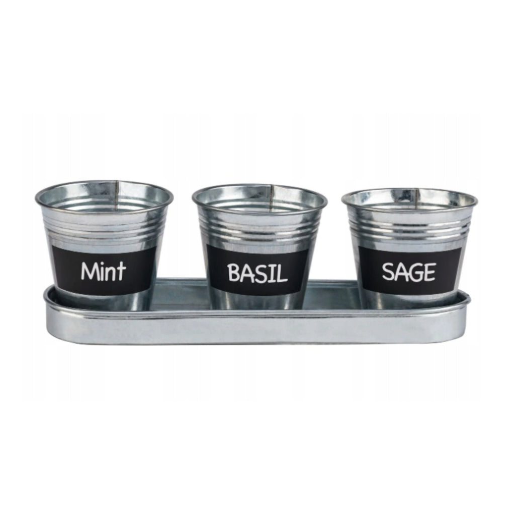 Parkside 3-Piece Zinc Herb Pot Set with Tray - Silver — image 3