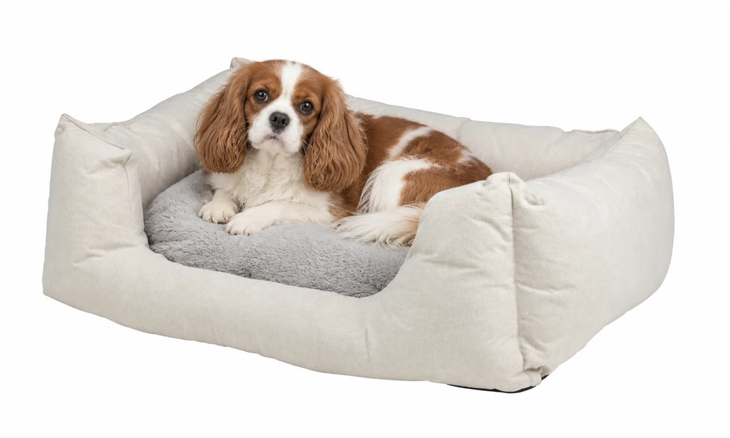 Zoofari® Pet Bed - Rectangle