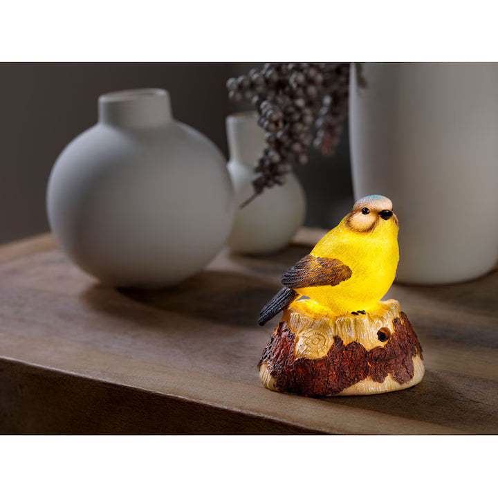 Livarno Home decorative Bird with LED light and motion sensor bird chatter (sounds)