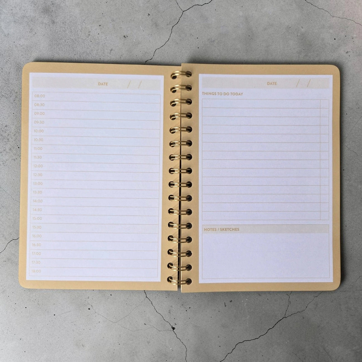 Pukka Pad Wild Stationery Set - A4 Notebook, Daily Planner Pad. Pencils & Eraser